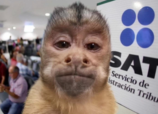 boyamx's tweet photo. El SAT viendo como me paso $1.50 de la Azteca a la Nu, y después me transfiero $21.50 a la Santander para poder retirar $100 https://t.co/LXJZPGSk76