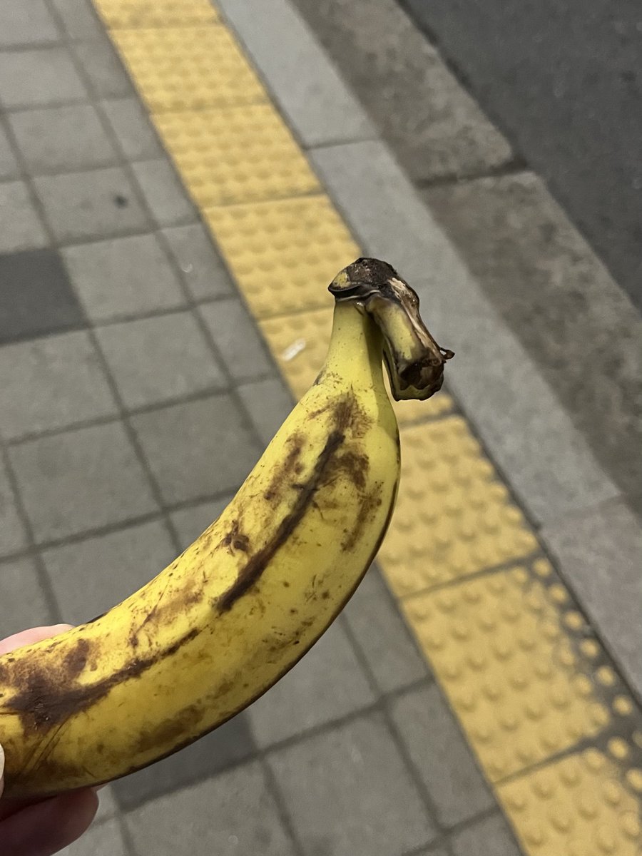 dohyunajeossi's tweet photo. 윤도현 역조공 잘익은 바나나🍌🍌 https://t.co/QWDnRolpw8