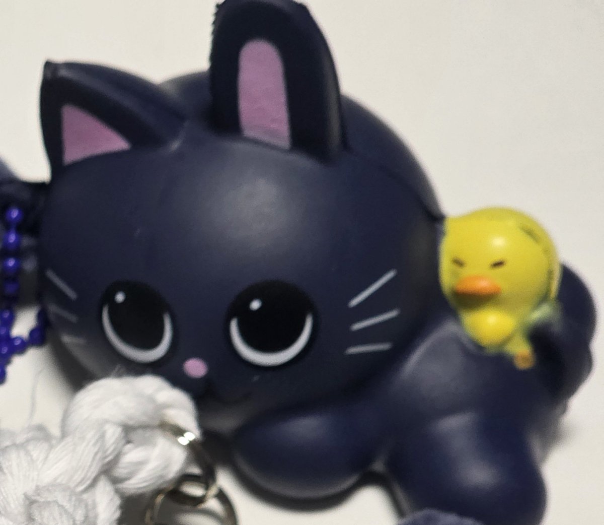 🐈⬛ tweet media