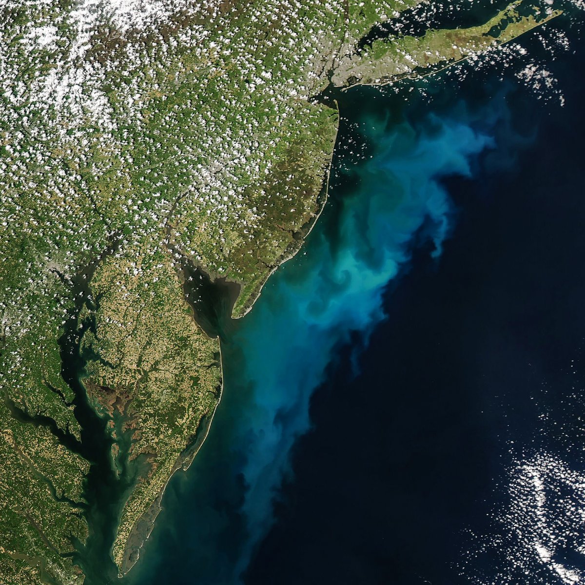 NASA Goddard tweet media