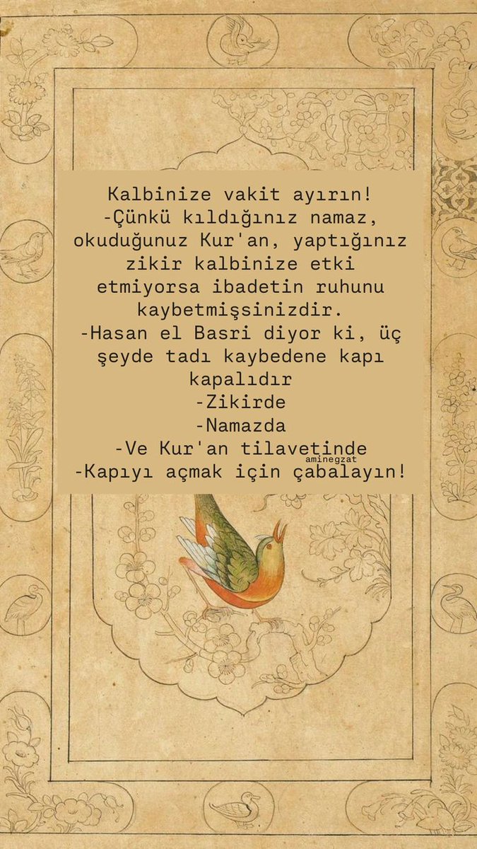Sezer49_'s tweet photo. Vesselam 🌿 https://t.co/Q3dBWu7Lwb