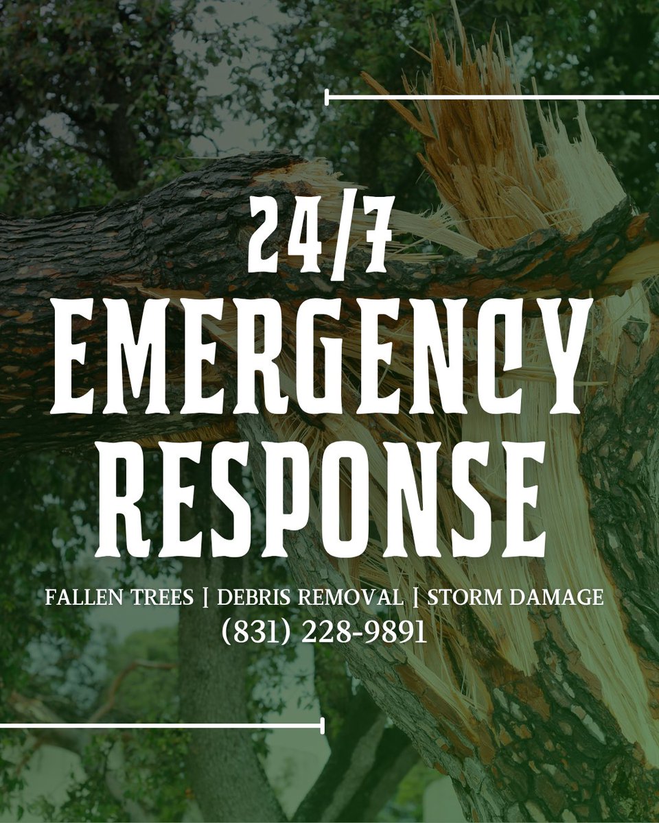 CommTreeServ's tweet photo. 24/7 Emergency Tree Services! 🌳🚨 When hazardous trees fall, we're ready to respond.

#communitytreeservice #treeremoval #residentialtree #treelife https://t.co/ZtGHGNhvbg