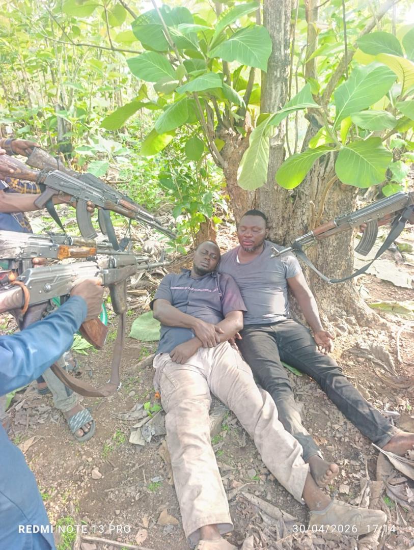 Harrison Gwamnishu tweet media