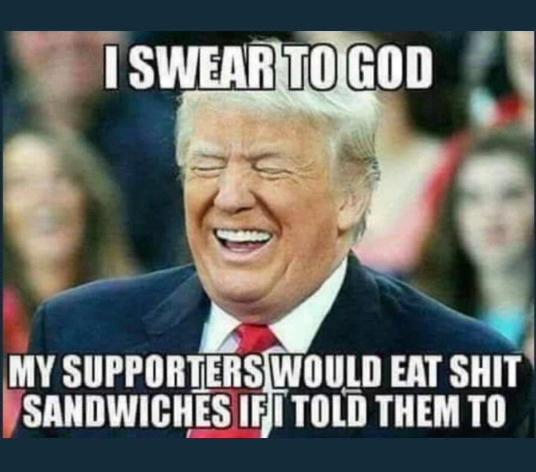 @trumpisacriminal tweet media