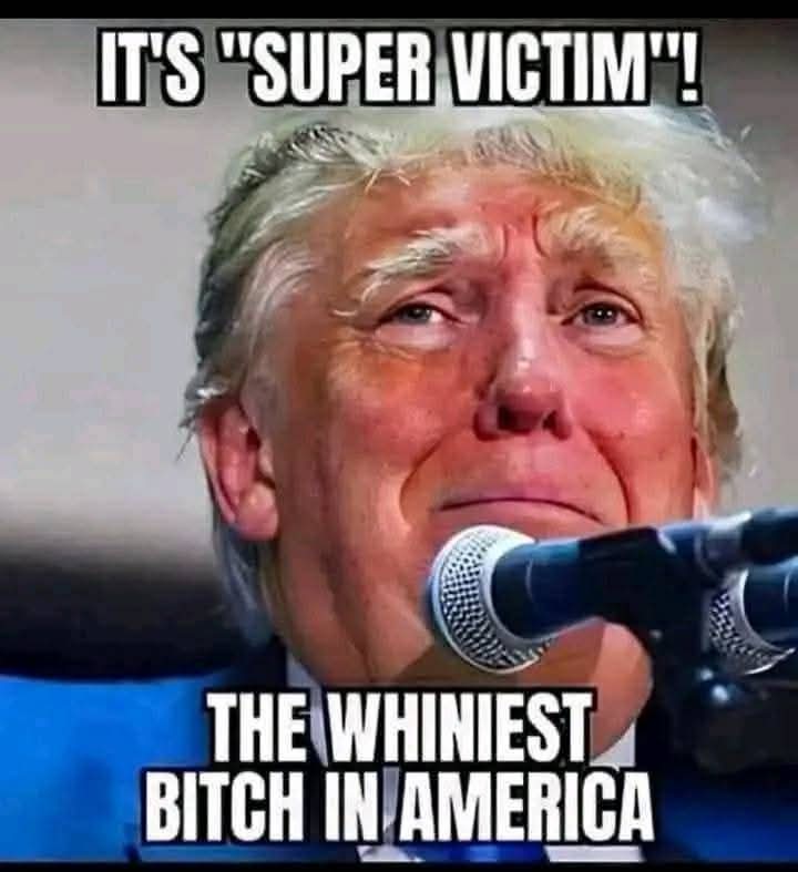 @trumpisacriminal tweet media