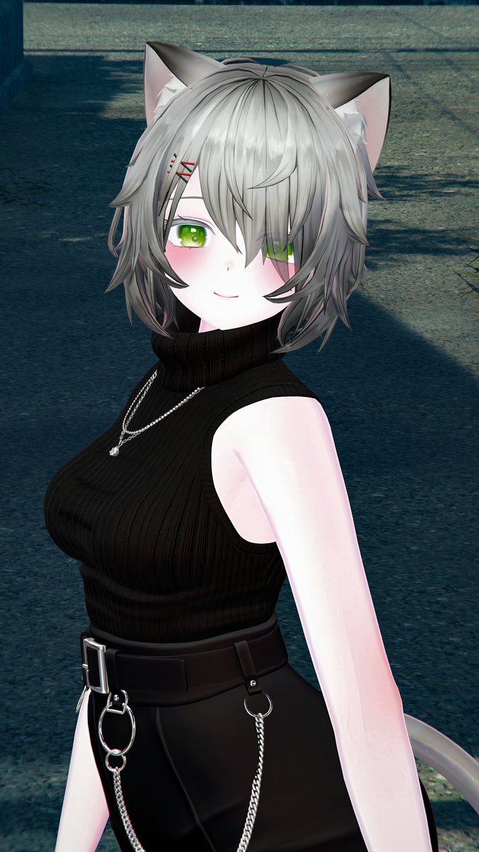 おはようございます🐱