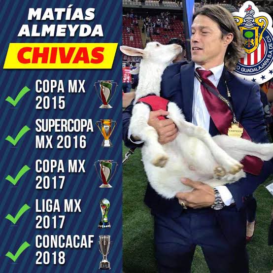 Max Chivalera tweet media