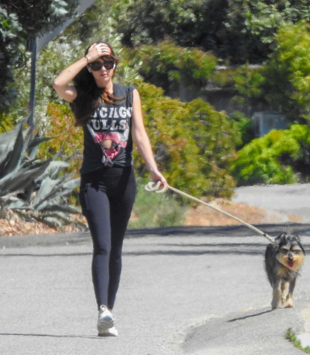 DailyDJPics's tweet photo. 🏖️ 🐕 #DakotaJohnson https://t.co/wVfDrXDWdu