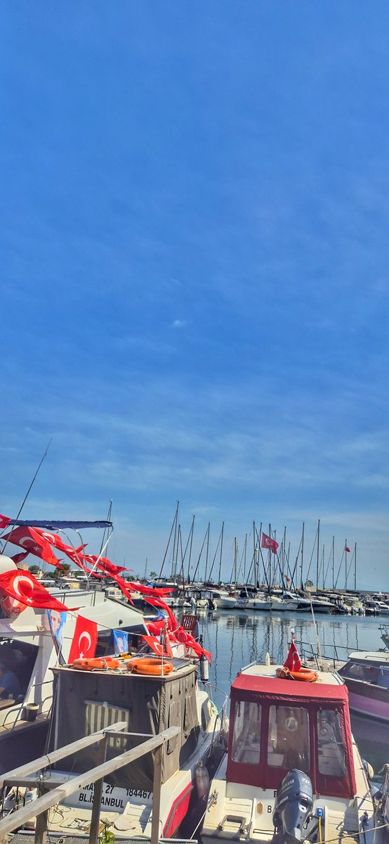 Ceyceyldrm's tweet photo. Günün anlam ve önemi 
🇹🇷🇹🇷 https://t.co/OloIE0WbeZ
