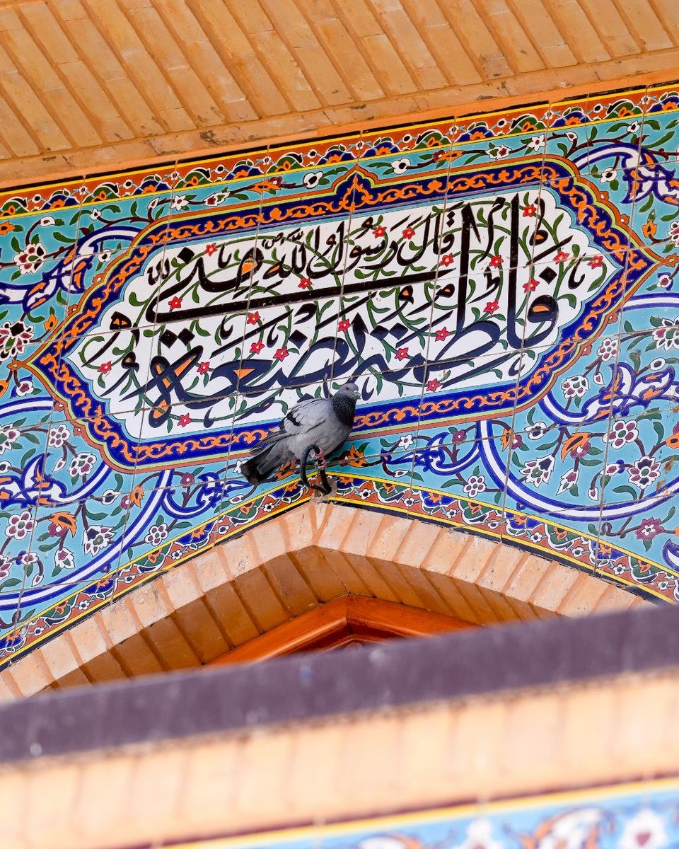 اشهد ان عليا ولي الله tweet media