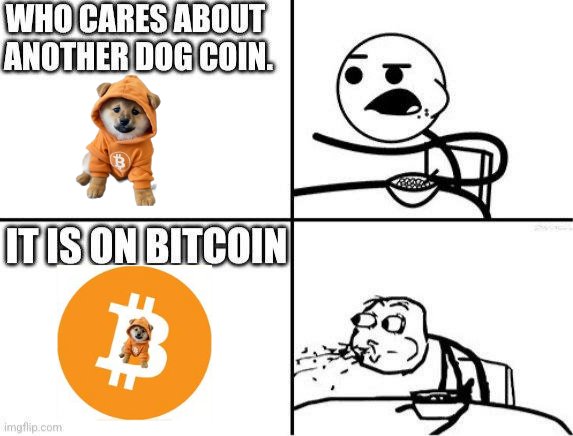 ₿RACKET 🧡 $DOG tweet media