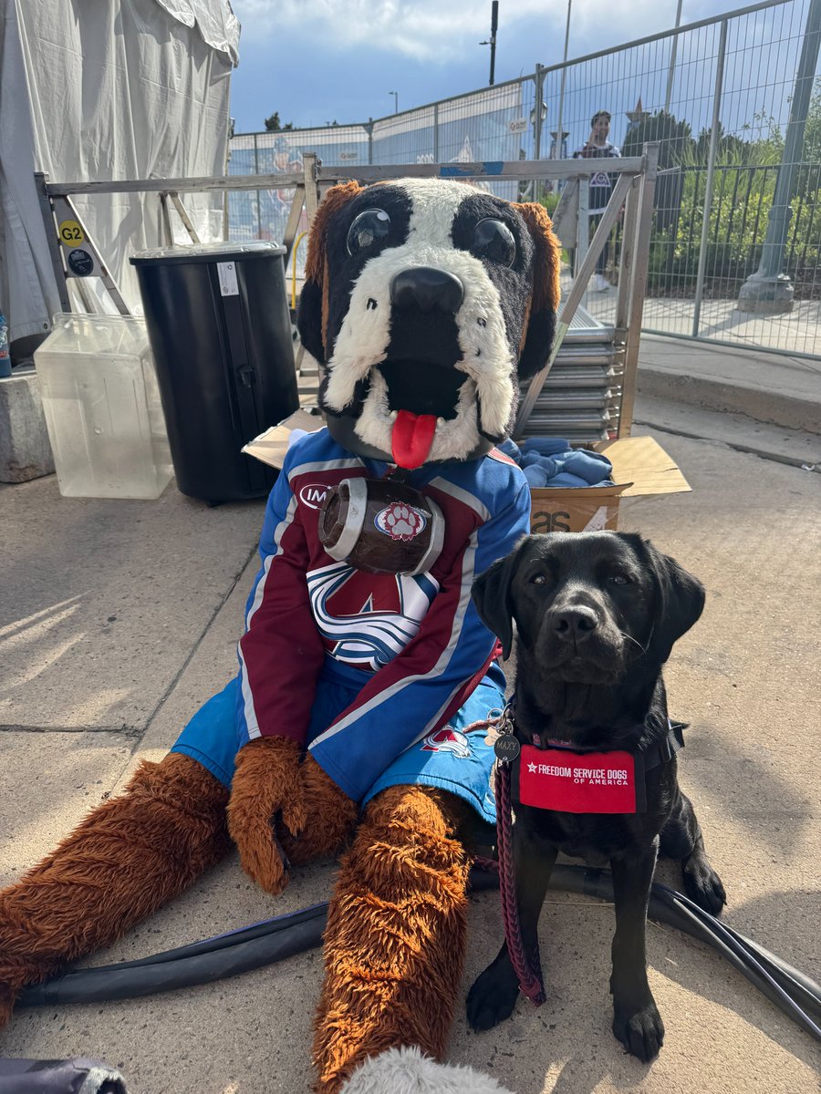 Freedom Service Dogs tweet media