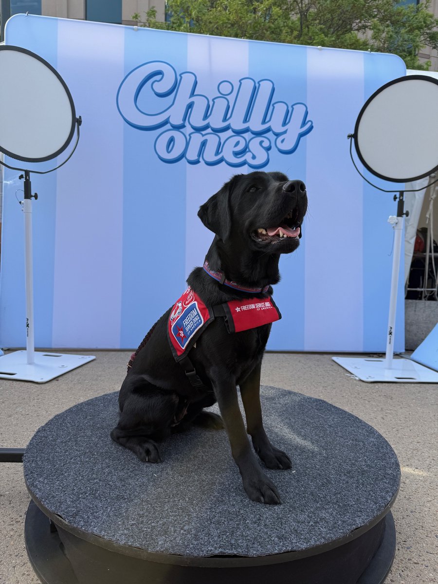 Freedom Service Dogs tweet media