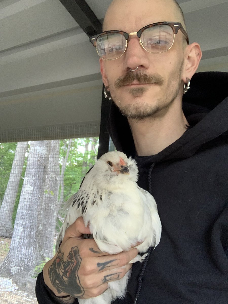 big bald bastard in the building tweet media