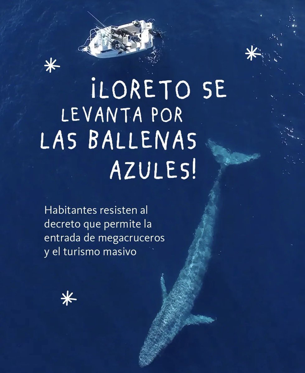 ZuryRs's tweet photo. @SEMARNAT_mx @aliciabarcena 🫰🏻✨¡Celebramos Mahahual!🎉 Pero queremos ballenas no cruceros. 🐋🌊¡Ayuden a Loreto B.C.! https://t.co/C0aZ05l185