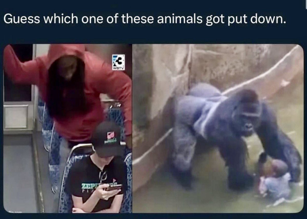 Garbage Human tweet media