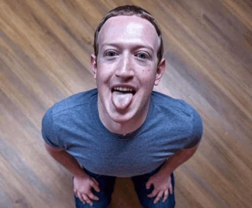 alexreplyz's tweet photo. @elonmusk one submissive alien right here! https://t.co/qMfbavg2wz