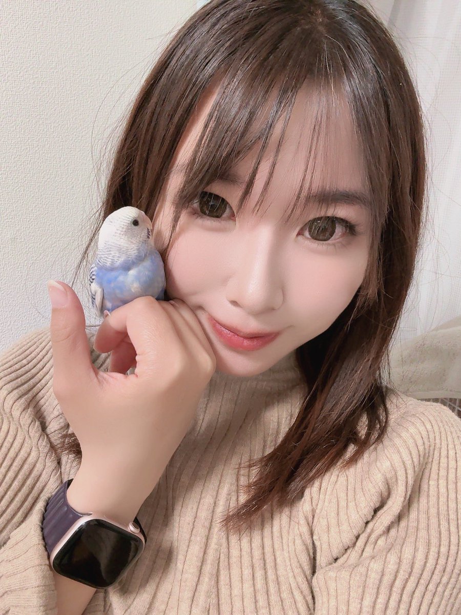 水谷葵♥️あおいたん tweet media