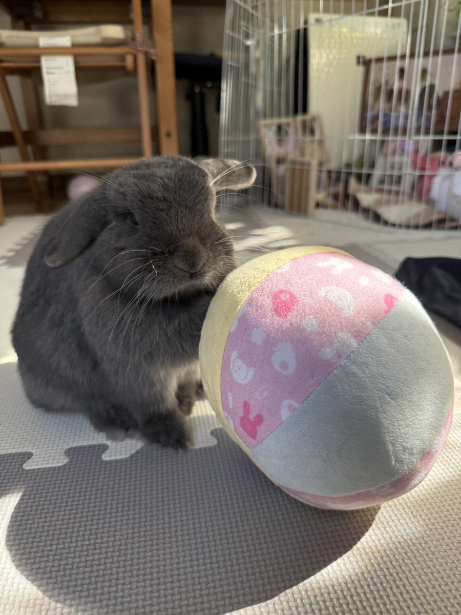 なさお tweet media