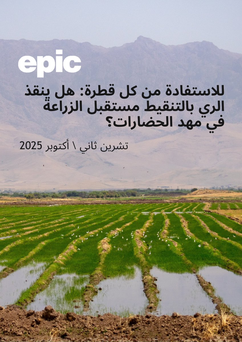 Omar Al-Nidawi tweet media