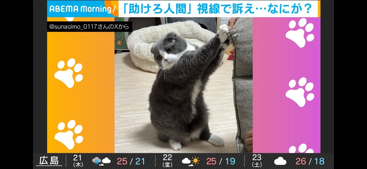 すなぎも tweet media