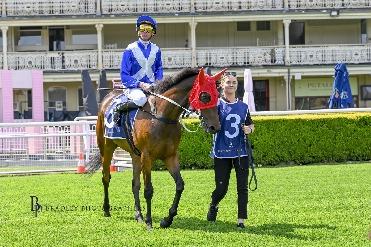 PROVINCIAL RACING tweet media