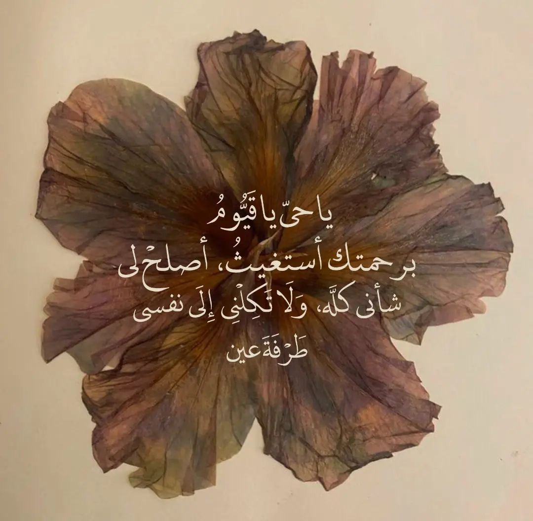 coori00's tweet photo. https://t.co/ujs4gdVfJS