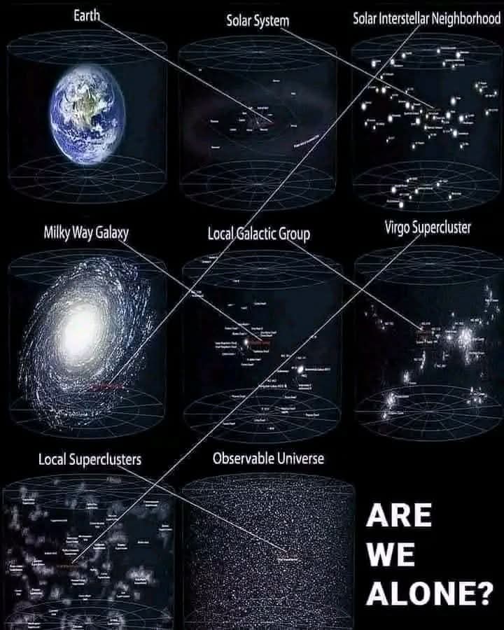 Black Hole tweet media