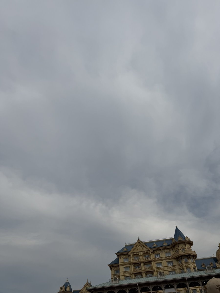 Disney/コウ tweet media