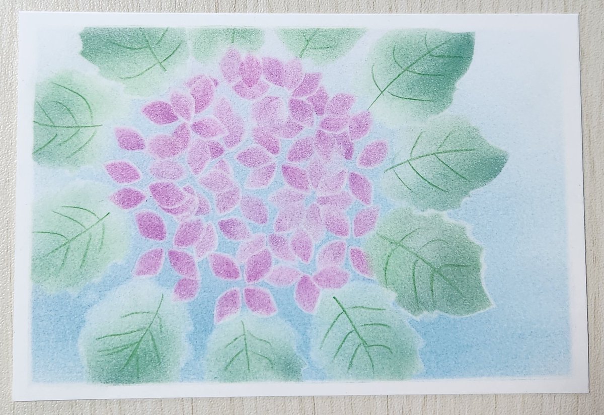 yuki209969051 yuki2さん✨ おはようございます😊 紫陽花の季節になり