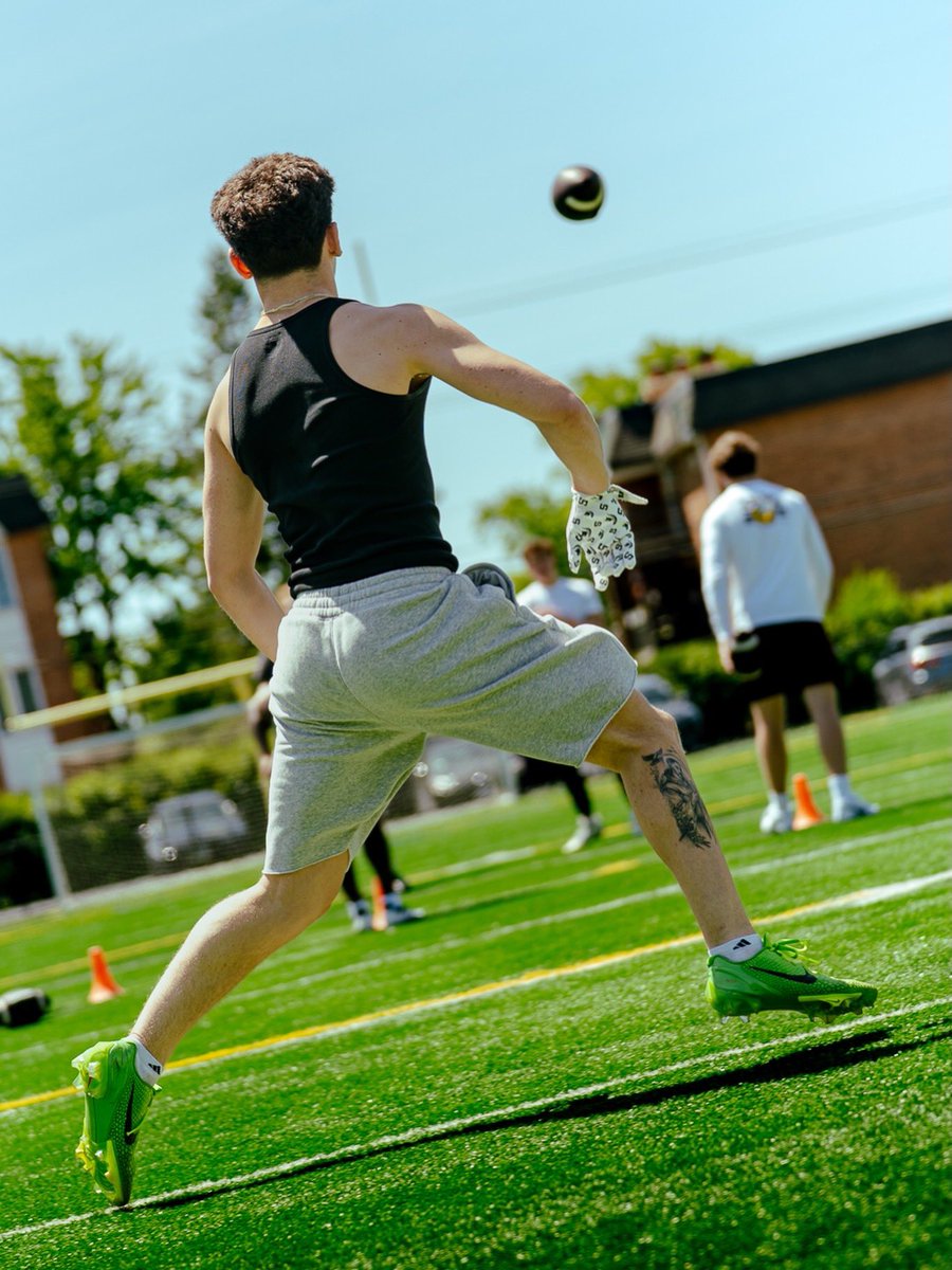 Next Level Quarterback Academy tweet media