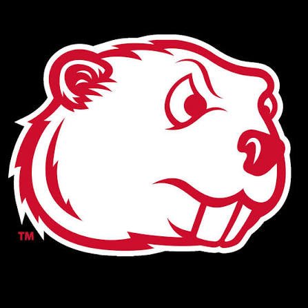 cambuchanan3DB's tweet photo. After a talk with @Coach_D_Mac I have received an offer from @MSUBeaversFB

@fbcoachmadison 
@footwork_king1 
@BridgelandFB https://t.co/4cWau6rKPM