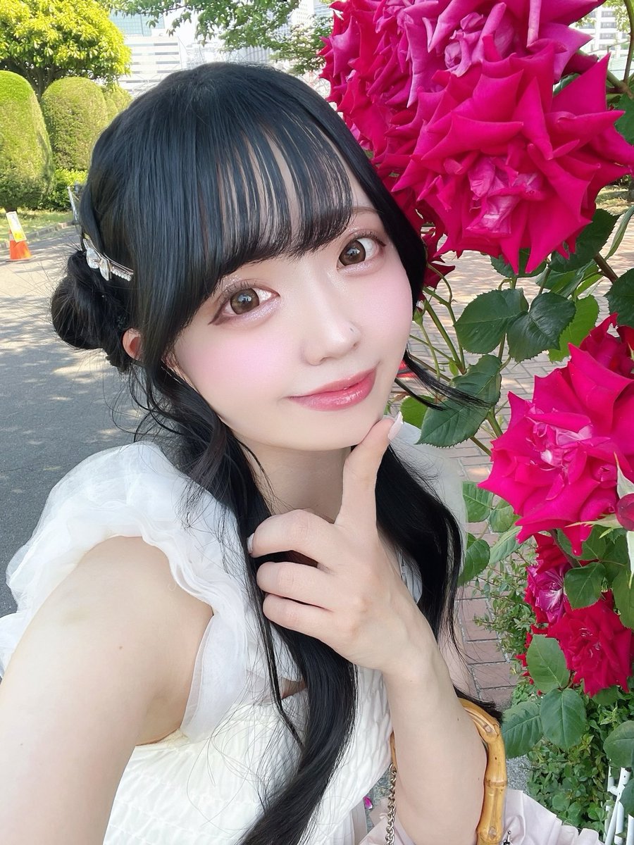 Post by みっちゃん on X: こんばんは