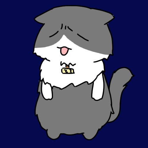 ねこのてろ🏠🐈 tweet media
