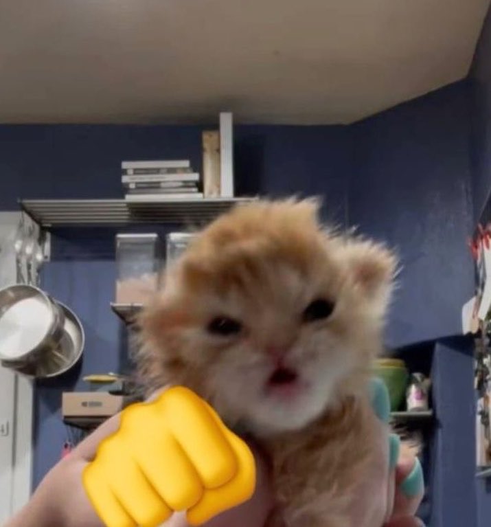 𝖆 𝖑 𝖊 tweet media
