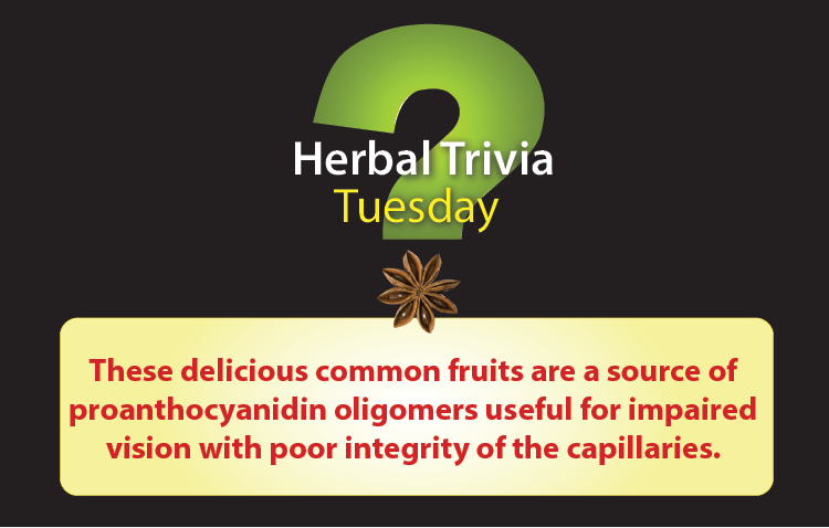 davidwinston's tweet photo. It's Herbal Trivia Tuesday! Post your guess and check back for the answer and more info on Thursday. These delicious common fruits are a source of proanthocyanidin oligomers useful for impaired vision with poor integrity of the capillaries. https://t.co/SsLIpzrCll
