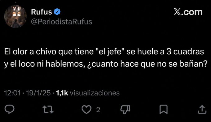 tano benedetti ( tweet media