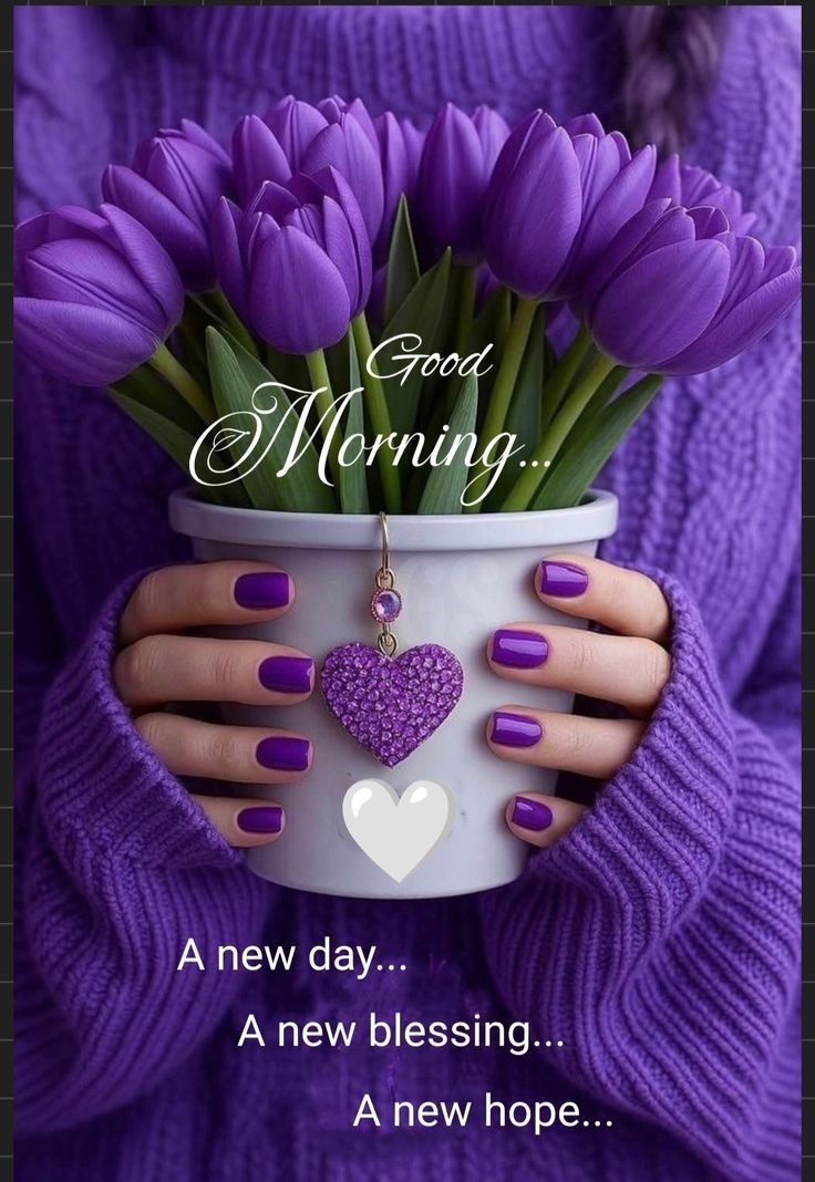 Ayomide11L's tweet photo. Good Morning Trend ☀️
“New day, new mindset.
Stop waiting for perfect conditions — start with what you have and grow from there.
Quiet moves, consistent work, and real connections will always win. 📈✨
Good morning champions.”
#moring https://t.co/ugx3hZwxYD