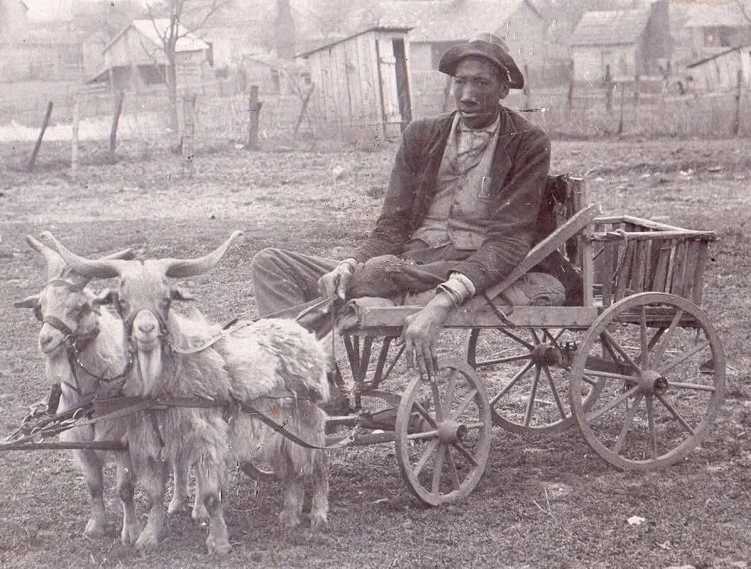 BlackMediaHub's tweet photo. John Rogan was 8 feet 9 inches tall, the son of formerly enslaved sharecroppers, and he got around on a cart pulled by goats. He turned down every sideshow offer. When he died in 1905, his family buried him under concrete so nobody could dig him up. https://t.co/5CBfjwIoDe