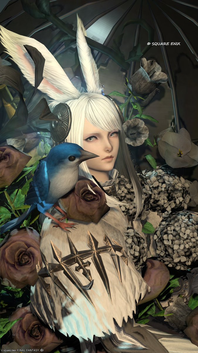 煌☪ tweet media