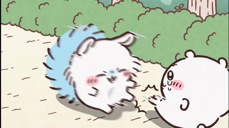 ふわり🐹🩵 tweet media