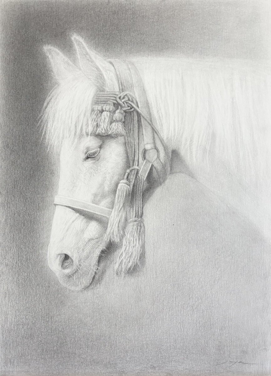 鉛筆画