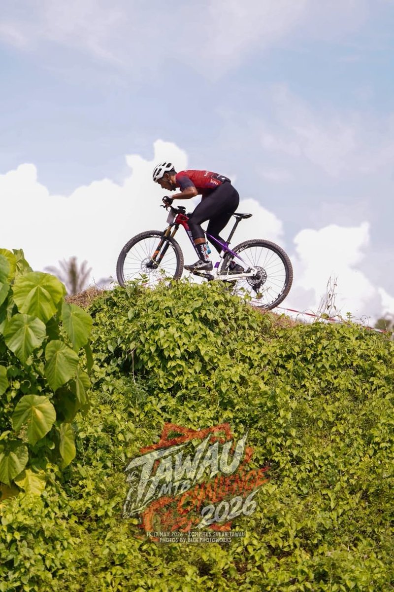 elvesbike