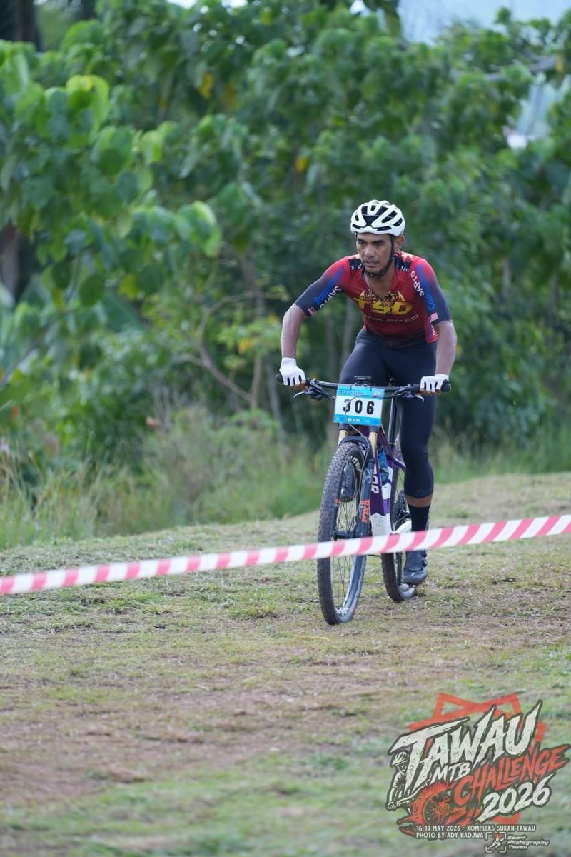 elvesbike