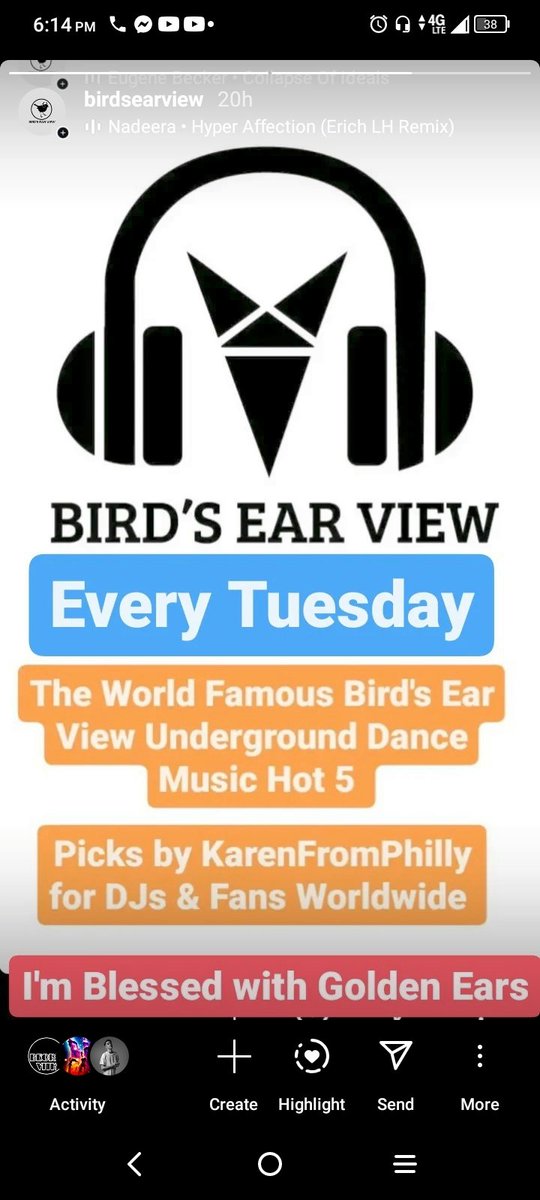 BIRD'S EAR VIEW tweet media