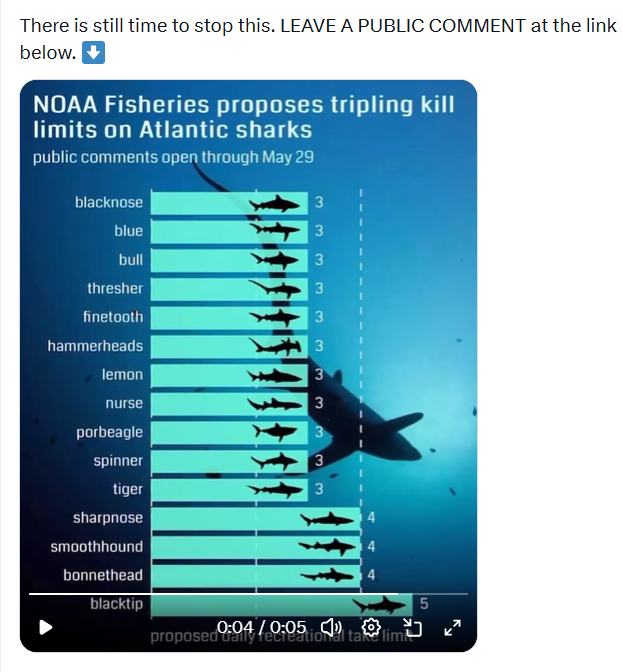 MissanMissen's tweet photo. Did you comment yet? Link in Blue Planets Society's comment.
Please do if you haven't!
Please also share!
#SaveTheSharks https://t.co/QGdiU525Ql