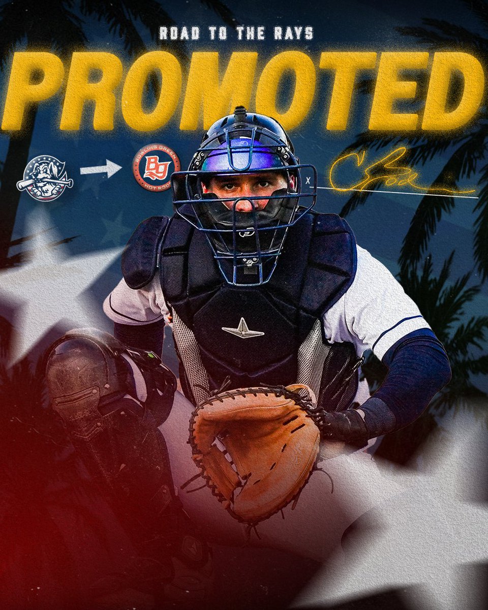 Charleston RiverDogs tweet media