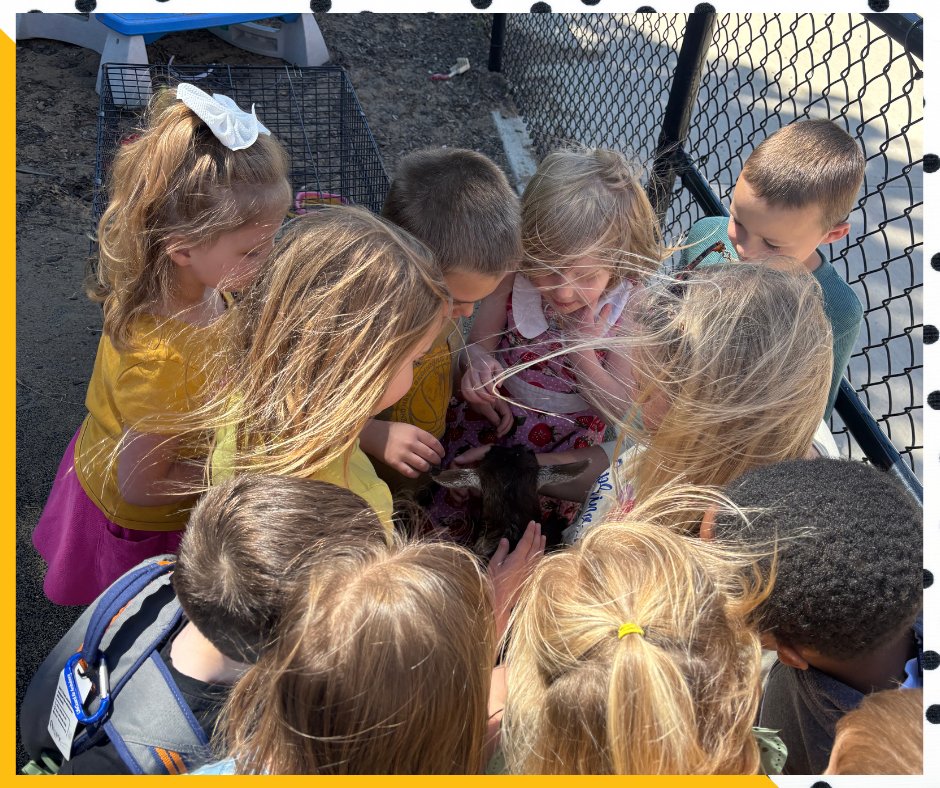 vsvikings's tweet photo. In Domain 5 in CKLA, preschool has been learning about Habitats. One of the Habitats we learned about is the Farm. One of our preschool friends, Willow, has baby goats and brought Rosalina and Belle to preschool to share with the class. https://t.co/W0Hn6W4Iom