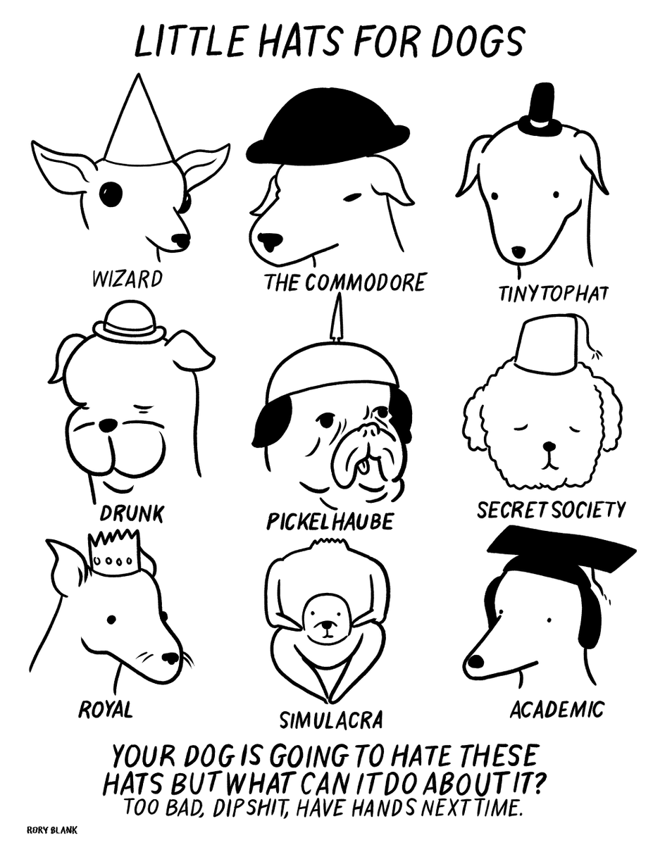 little hats for dogs 