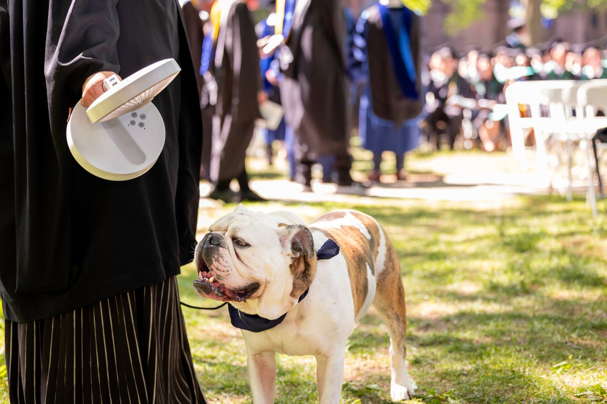 Yale University tweet media